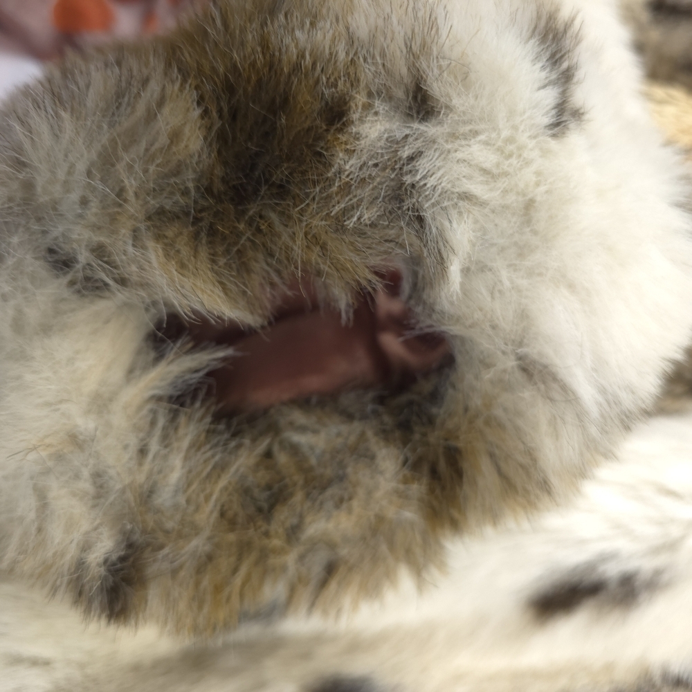 Style VI Ltd Fur Coat -type unknown- Women's One Size - Picture 9 of 14